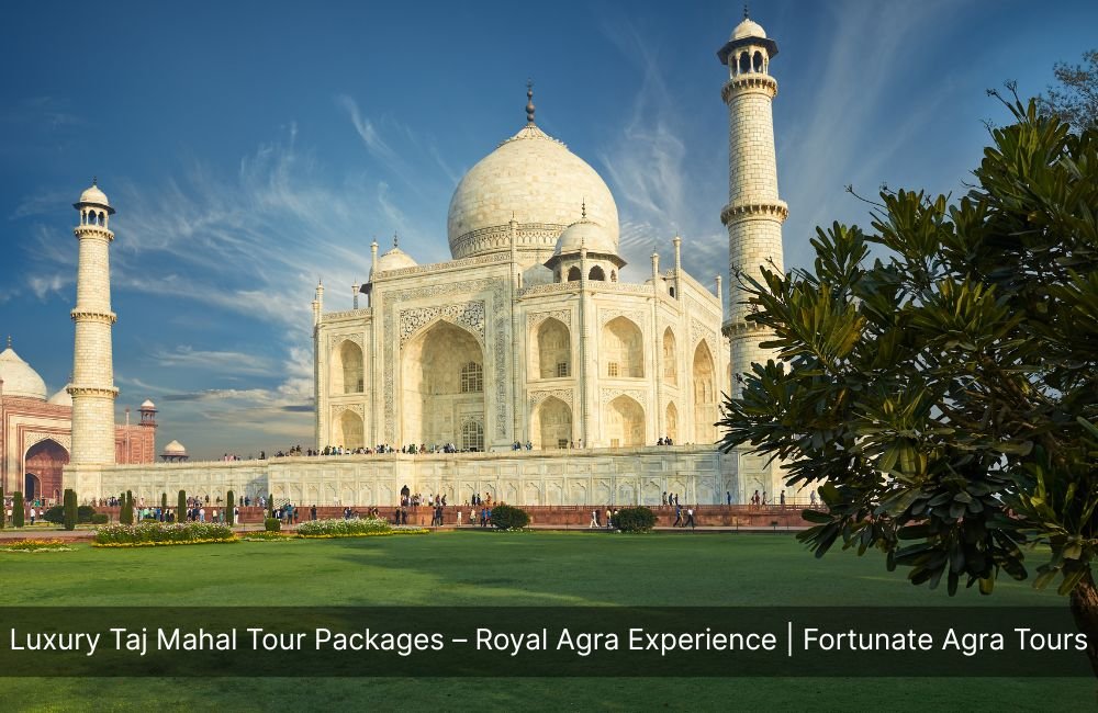 luxury-taj-mahal-tour-packages-royal-agra-experience-fortunate-agra-tours